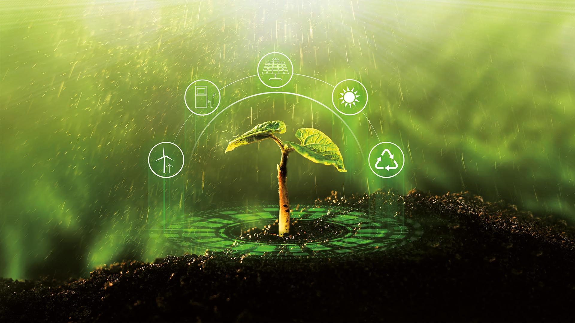 Sustainability in Agriculture: Transition to Organic Farming